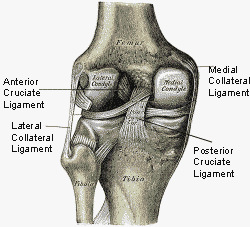 Some of the most common knee injuries involve overstretching of one of the 4 knee ligaments. Some of the most common knee injuries involve overstretching of one of the 4 knee ligaments.