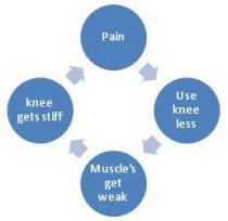 Arthritis in the knee often causes a vicous cycle to develop Arthritis in the knee often causes a vicous cycle to develop