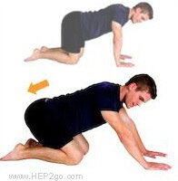 The cat stretch helps to increase knee flexion as part of meniscus tear treatment.