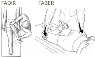 Anterior Hip Pain: The FADIR and FABER tests can be useful in diagnosing front hip pain
