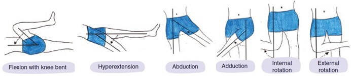 Hip Range Of Movement: Hip flexion, extension, abduction, adduction, internal rotation and external rotation Hip Range Of Movement: Hip flexion, extension, abduction, adduction, internal rotation and external rotation