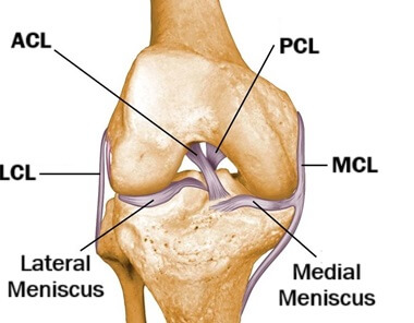 The ACL is one of 4 ligaments in the knee, found deep in the middle of the joint The ACL is one of 4 ligaments in the knee, found deep in the middle of the joint