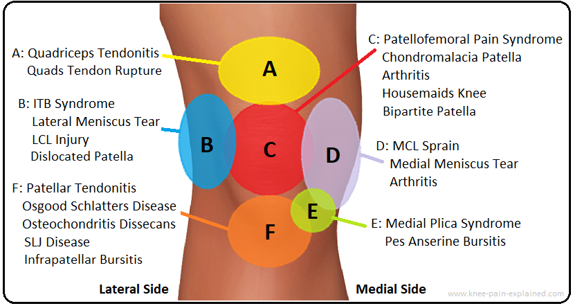 Back Diagnosis Chart