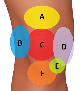 Knee Injuries Symptoms Diagnosis: Thinking about where your pain is can help you diagnose your knee pain. Knee Injuries Symptoms Diagnosis: Thinking about where your pain is can help you diagnose your knee pain.