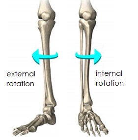 Knee Rom Chart