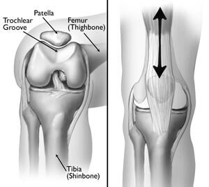 Syndrome aka Knee - Knee Explained