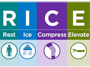 RICE bottom link 225 opt apr 25