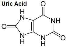 Uric Acid Uric Acid