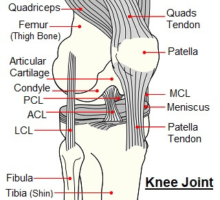 Knee Pain When Bending: Causes & Treatment - Knee Pain Explained