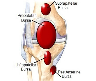 Knee Joint Anatomy & Motion - Knee Pain Explained
