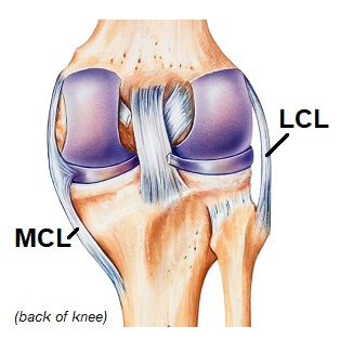 knee ligaments cruciates \u0026 collaterals knee pain explaineddiagram showing the collateral knee ligaments